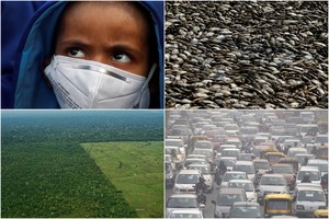 16 tūkst. mokslininkų perspėjo: žmonijos ateičiai kilo rimta grėsmė