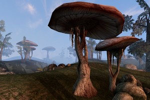 Priešistorinis grybas – tokio dydžio, kad net sunku įsivaizduoti