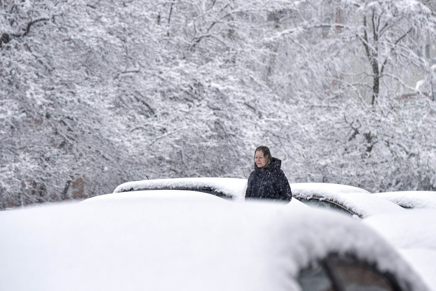 Į Lietuvą atkeliauja sniegas.<br>V.Ščiavinsko nuotr.