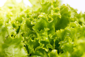 Labai paprastas triukas, kaip išlaikyti salotas neištižusias