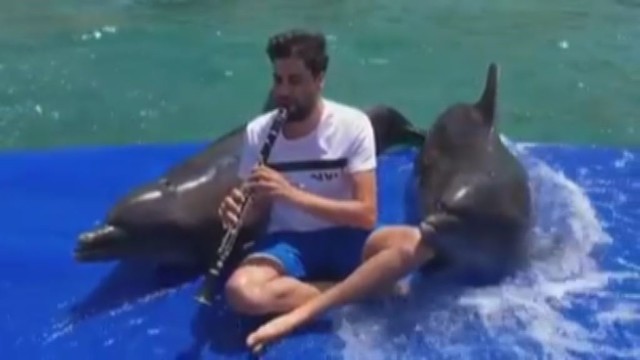 Neįtikėtina muzikos galia: jauno vyruko aistra suviliojo net delfinus