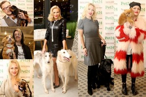 Rasa Arlauskienė sukvietė bičiulius su keturkojais į pirmąjį šunų socializavimo vakarėlį