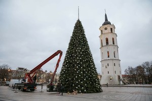 Vilniaus Katedros aikštėje jau stovi Kalėdų eglutė