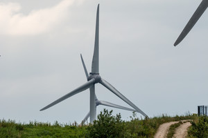 Danijos sėkmės istorija: vėjas elektra aprūpins kone pusę valstybės 