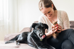 Gerumo pavyzdys: vilnietė į namus priėmė šunį, aklą katiną ir sužeistą voverę