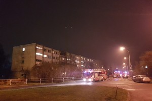 Iš degančio buto Vilniuje ugniagesiai išgelbėjo 2 žmones ir šuniuką