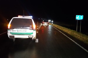 Šilutės rajone mirtinai partrenktas vyras