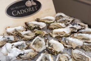 Austrių maestro rekomenduoja: kokios austrės geriausios ir su kuo jos labiausiai dera