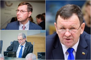 Mišri darbo grupė Seime tapo vieta politikams pasitaisyti