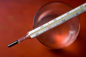 Šuo kauniečio namuose sukėlė paniką – prireikė ugniagesių