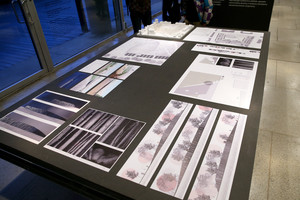 Viskas veltui: Lukiškių aikštės memorialą reikia keisti