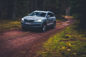 Žinomi žmonės atskleidė, ką labiausiai vertina rinkdamiesi automobilį šeimai