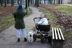 Finansų analitikai: „Jokių papildomų vaiko pinigų dauguma šeimų negaus“
