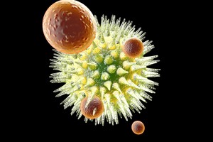 Jūsų imunitetas išgelbėtas: keli žingsniai užkirs kelią bet kokiai ligai