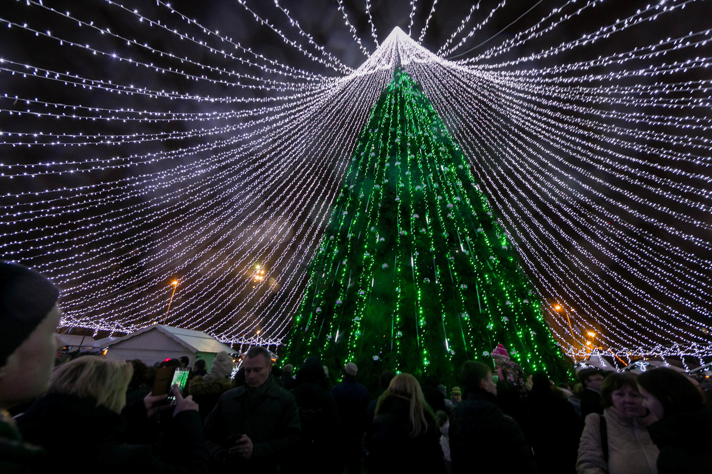 Kalėdų eglė 2016 metais.<br>T.Bauro nuotr.
