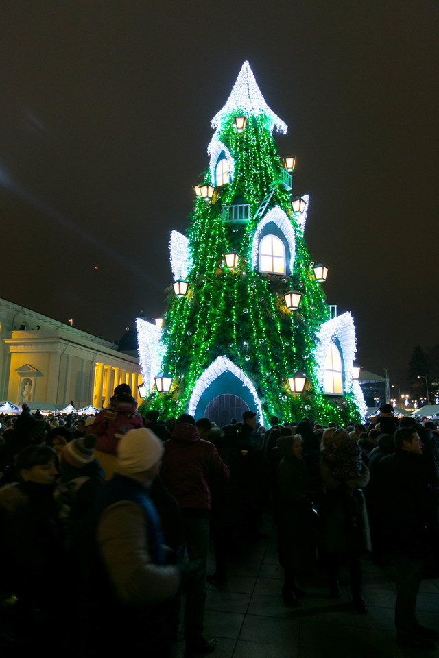Kalėdų eglė 2015 metais.<br> T.Bauro nuotr.