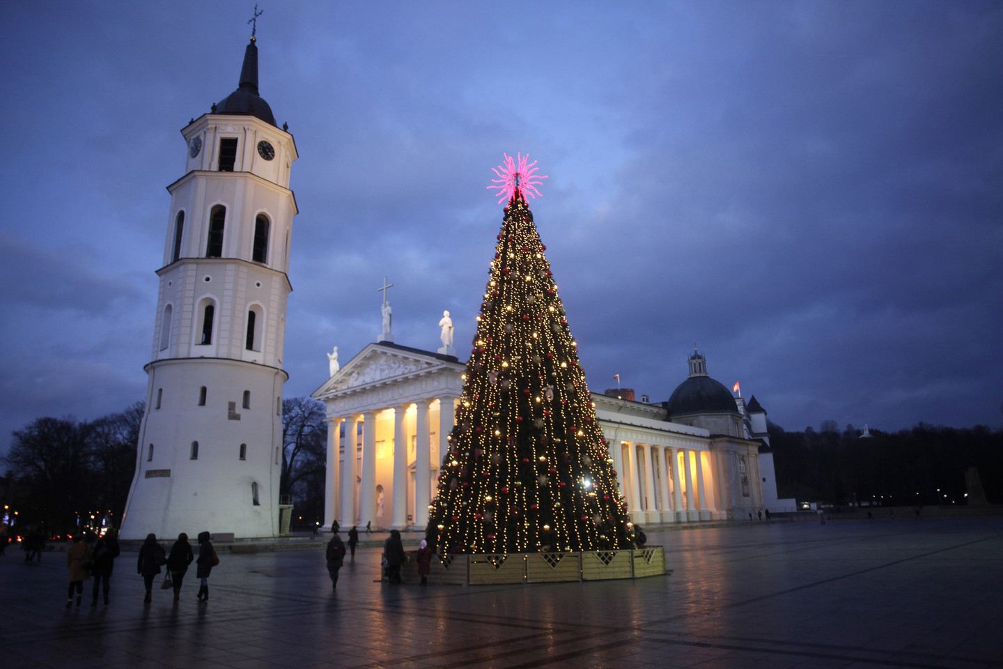 Kalėdų eglė 2011 metais.<br> Reuters/Scanpix nuotr.