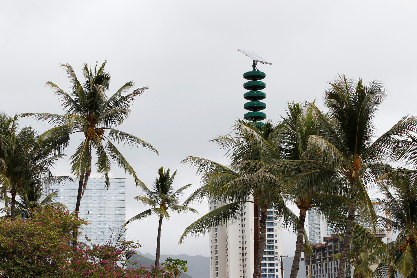 Sirenos gaudė vieną minutę, atlikus perspėjimo apie cunamius ir kitas stichines nelaimes sistemos bandymą, prie kurių Havajų gyventojai jau yra įpratę.<br> Reuters/Scanpix nuotr. 