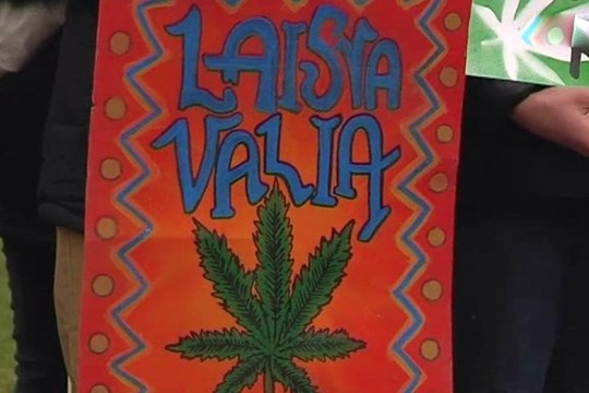 Kanapių šalininkai protestavo prie Seimo: „Pats Barackas Obama yra rūkęs marihuanos“