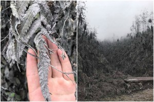 Vaizdai tarsi po apokalipsės: ugnikalnis Balio saloje apylinkes nuklojo pelenais