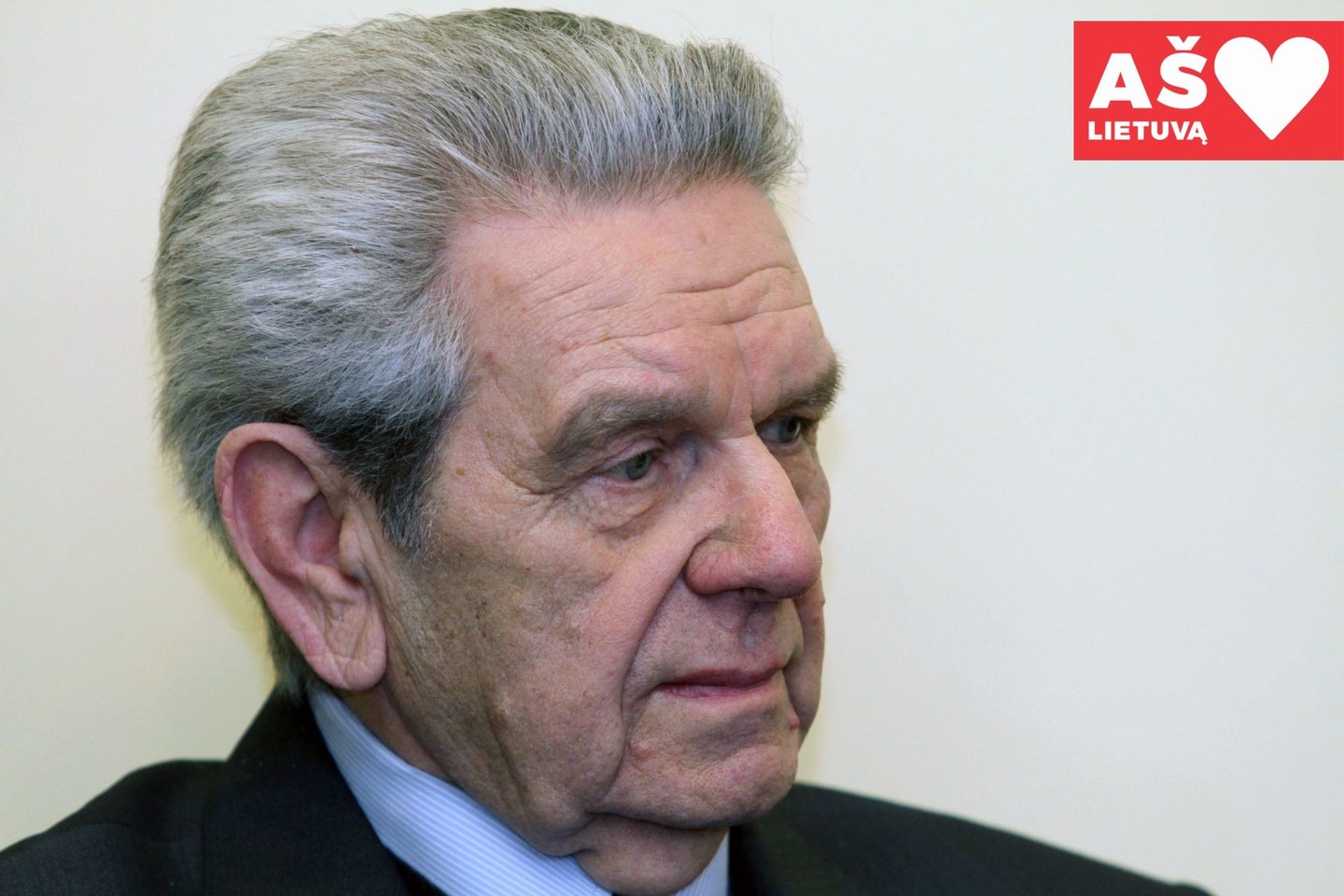 V.Garastas.<br> M.Patašiaus nuotr.