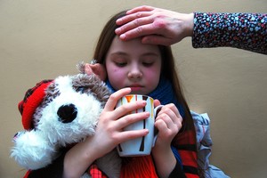 Seimas apsisprendė dėl PVM šildymui, vaistams, viešbučiams: kokios galios lengvatos?