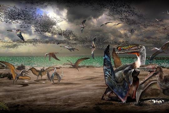 Viso pasaulio paleontologai džiūgauja: tokio laimikio iki šiol dar nebuvo pasitaikę