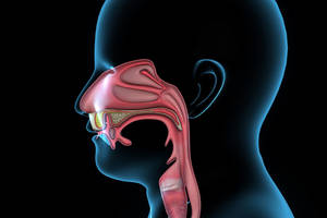 Gintauto istorija prasidėjo nuo maudimo gerklėje, o diagnozė apstulbino