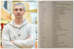 Tarp tarptautinių žodžių vertėjo naujadarų – suopratis, sąridulė, žvėrėdras