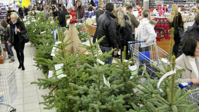 Kalėdų eglutes žmonės pradėjo pirkti dar lapkričio pradžioje