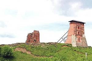 Lietuviai gelbsti Gedimino pilį, o baltarusiai – Mindaugo 