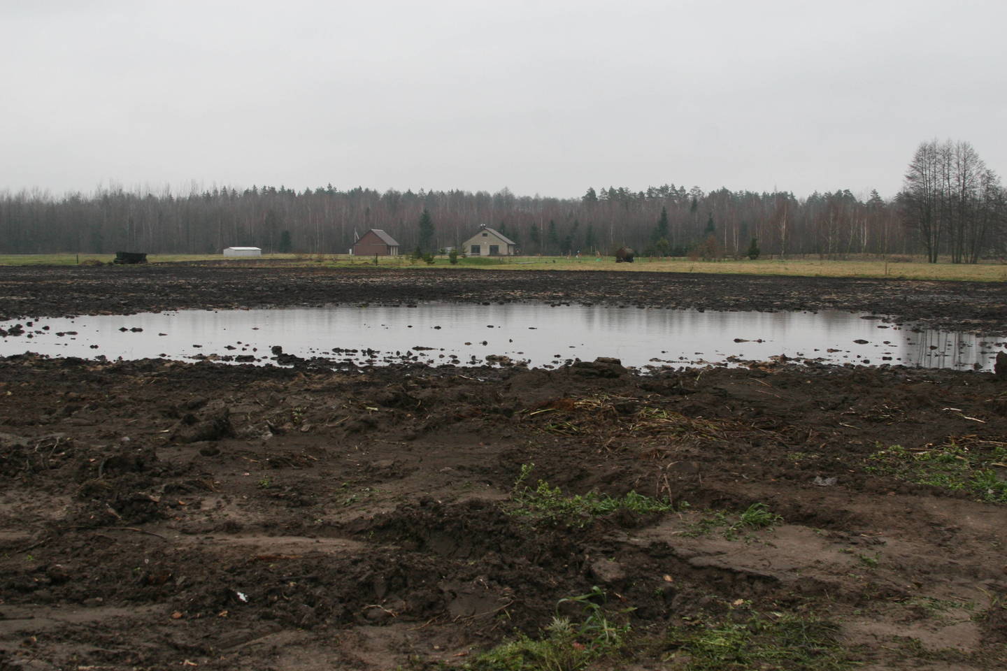  Šalia Iglės ežero esančiuose ūkininko A.Baltrušaičio laukuose telkšo vanduo.<br>  L.Juodzevičienės nuotr.
