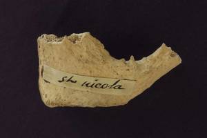 Atrado legendinio asmens kaulą – bet abejonių tik daugėja