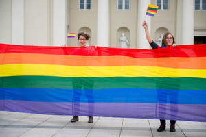 Tyrimas atskleidė Seimo narių požiūrį į homoseksualus Lietuvoje