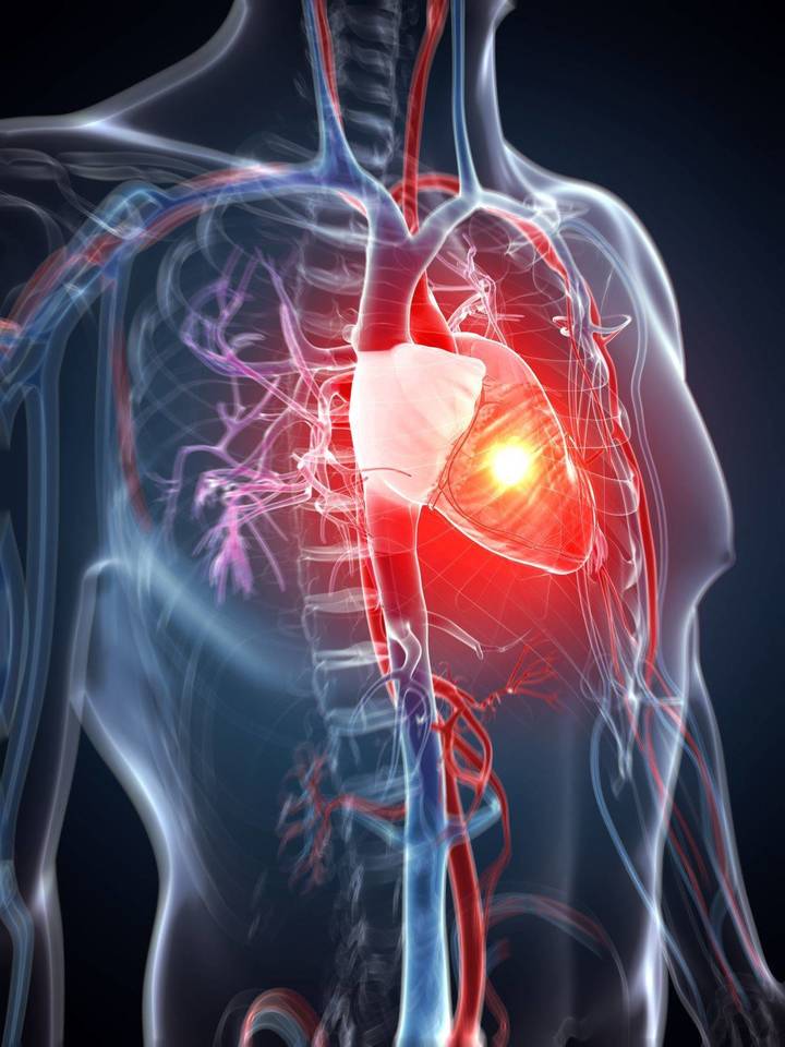 Yra ir kitas miokardo infarkto diagnostikos metodas – kraujo tyrimas. Miokardo infarkto atveju kraujyje daugėja troponino.<br>123rf.com nuotr.