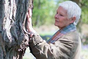 Kultinė britų aktorė išėjusius iš gyvenimo mylimuosius paverčia medžiais