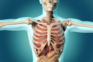 Pacientus pribloškė radinys ant organų – medikui pateikti kaltinimai