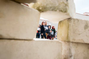 Paskelbė, kaip jungsis universitetai: bus vedybų ir be didelės meilės