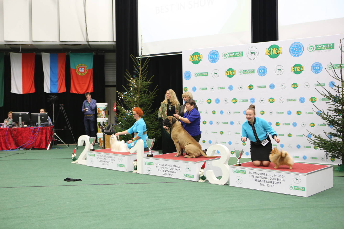 Gražiausias Lietuvoje gyvenantis šuo - bulmastifas. Trečiąją vietą pelnė vokiečių nykštukinis špicas, antroji atiteko maltos bišonui.<br> Š. Meškio nuotr.