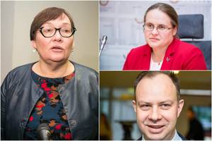 A. Maldeikienė įsiuto: paviešino A. Verygos ir A. Širinskienės atsiųstus dokumentus