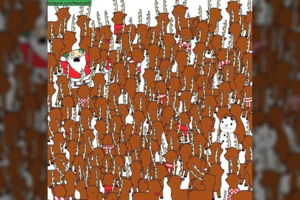 Neregėtai sunkus iššūkis: suraskite mešką tarp elnių