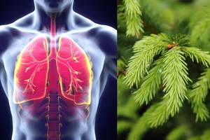 Pasigailėsite, kad išmetate nubyrėjusius eglutės spyglius: poveikis – stebuklingas