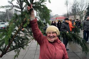 Visoje Lietuvoje dalijamos eglių šakos: dovana žmogui ir nauda miškui
