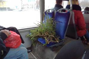 Kalėdinė eglė viešajame transporte sukėlė pasipiktinimą – svarsto, ar tai mandagu