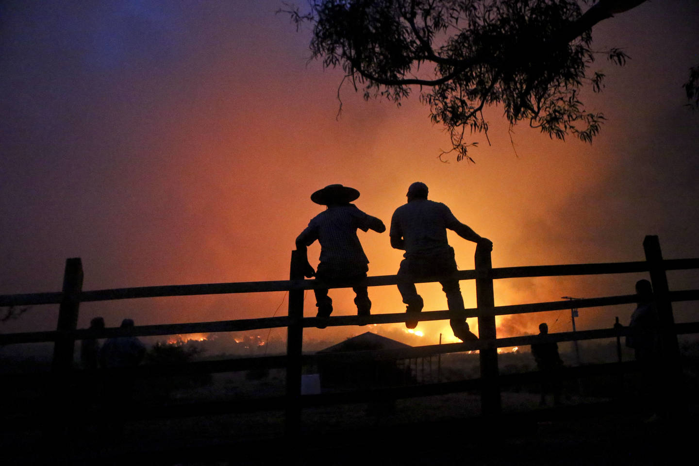  Vietos gyventojai stebi, kaip dega miškai. Sausio 29 d., Portezuelas (Čilė).<br> AP nuotr.