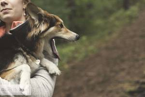 Niūrią dieną priimtas sprendimas apvertė aukštyn kojomis merginos gyvenimą