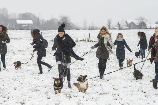 Dėstytoja rado puikų būdą, kaip atskleisti norvegų kultūrinius ypatumus