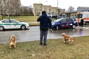 Antrą Kalėdų dieną Vilniuje perėjoje mirtinai sužalota senolė
