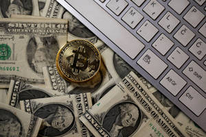 Analitikai: bitkoino kaina gali nukristi iki nulio