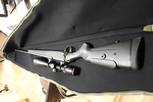 Už šūvį į vaikingą briedžio patelę medžiotojui teks pakloti 8900 eurų